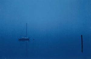 fog